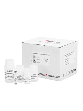  Magnetic Beads Plasma Cell-Free DNA Extraction Kit 