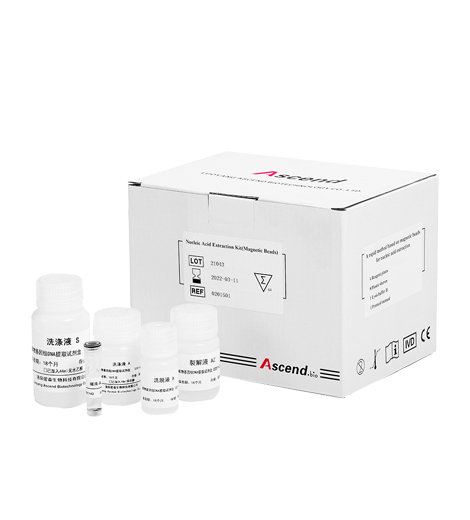  Magnetic Beads Plasma Cell-Free DNA Extraction Kit 
