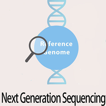 What is next generation sequencing?