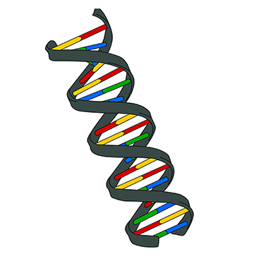 What is nucleic acid testing?