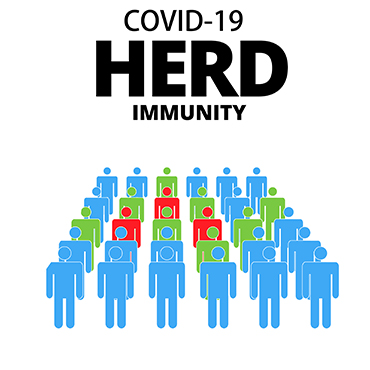 What is herd immunity?