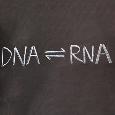 what is RNA, and what is it good for?