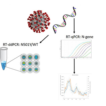 What is RT-PCR?