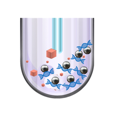 What is Magnetic Bead Nucleic Acid Extraction?