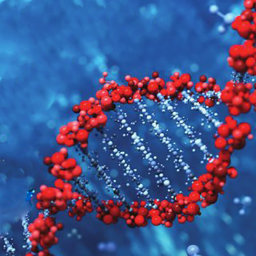 What are the nucleic acid purification technologies?