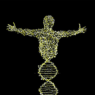 What is the human genome?