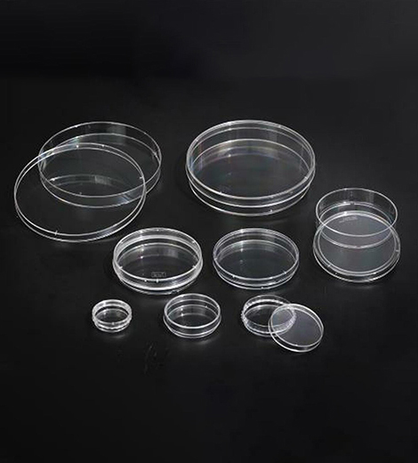 Cell Culture Dish