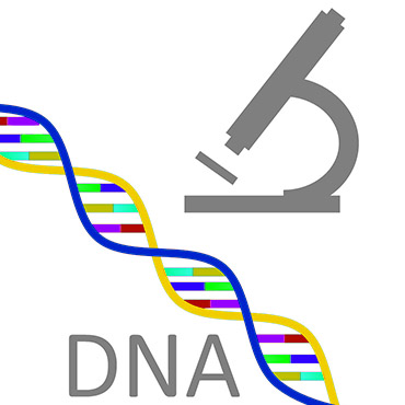 How do read a person’s DNA?