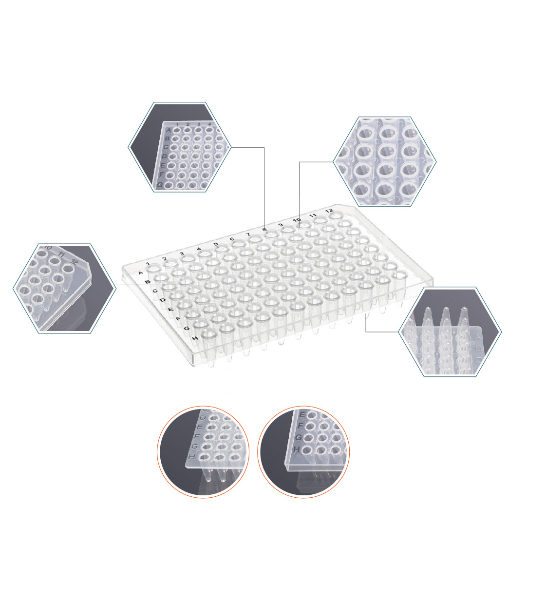 PCR Plates