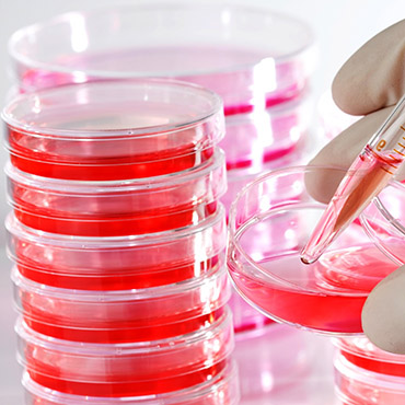 Environmental factors and Nutritional conditions for cell culture