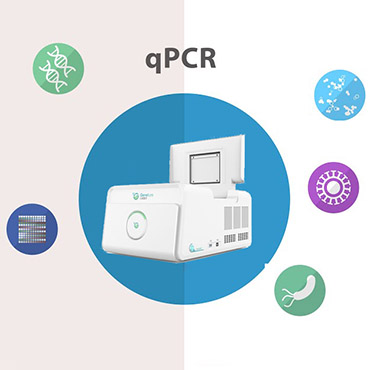 Guidelines for Successful Quantitative Gene Expression in Real- Time qPCR Assays