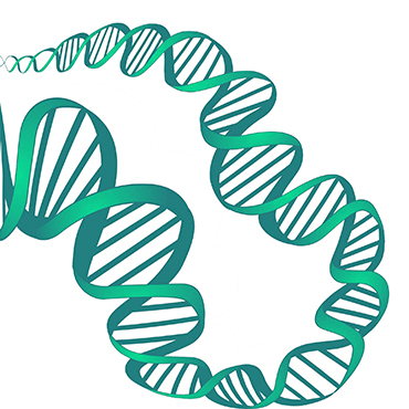 Here are the basics you need to know about nucleic acid extraction