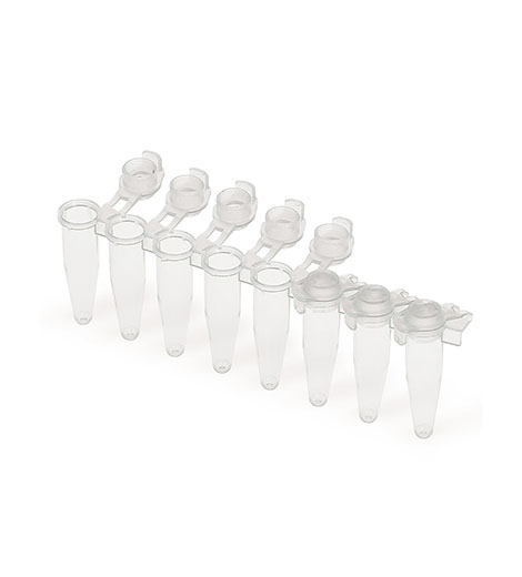 PCR Tubes Strips