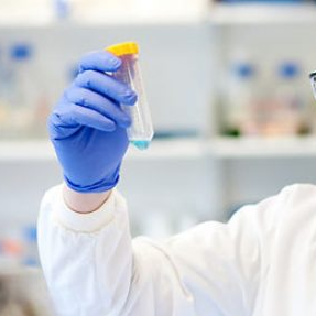 Introduction of factors affecting the effect of TaqDNA polymerase