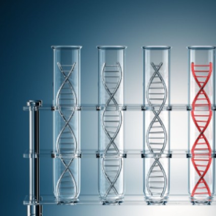 Introduction and comparison of DNA extraction methods