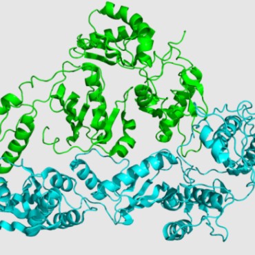 Introduction to the RT-PCR technology