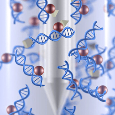 nucleic acid extraction