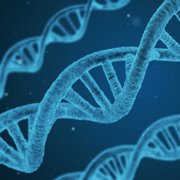 nucleic acid extraction 