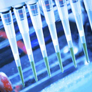 Polymerase Chain Reaction