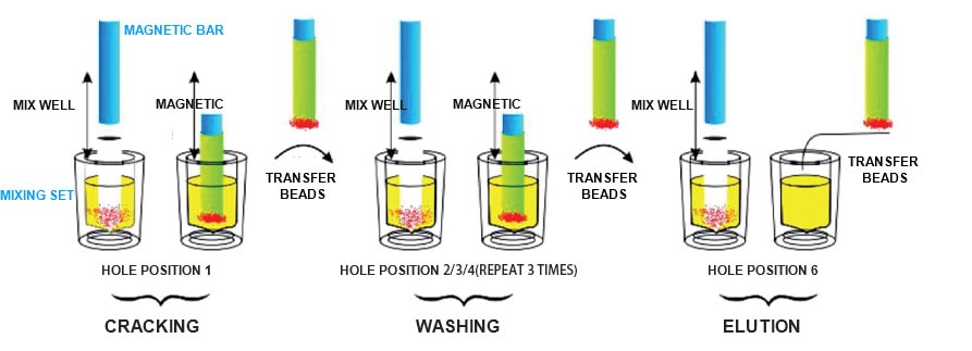 magnetic particles