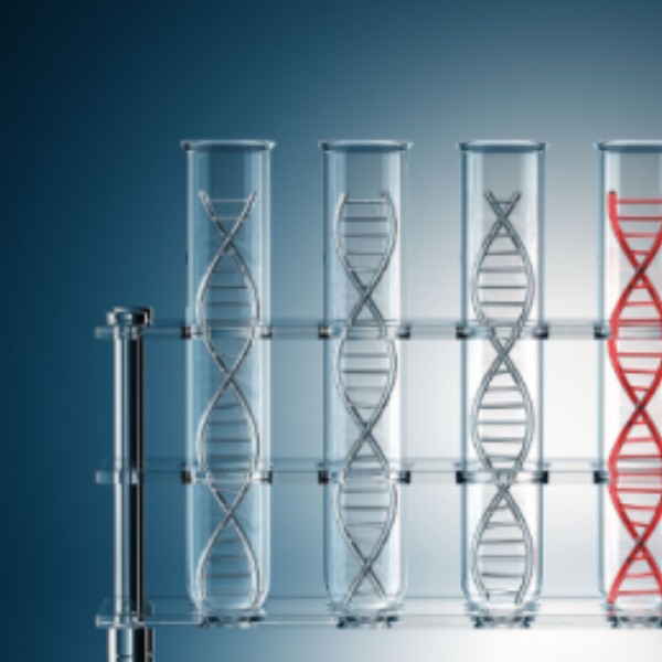 DNA extraction methods