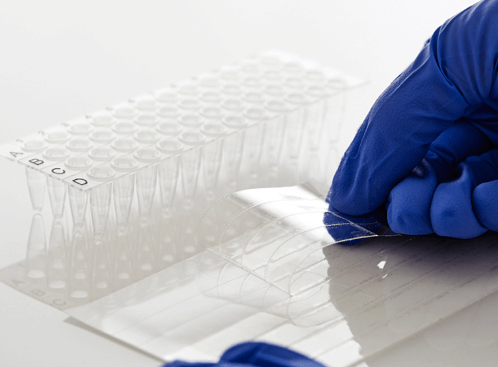 PCR plate sealing film